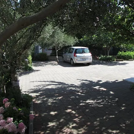 Zora Vodice