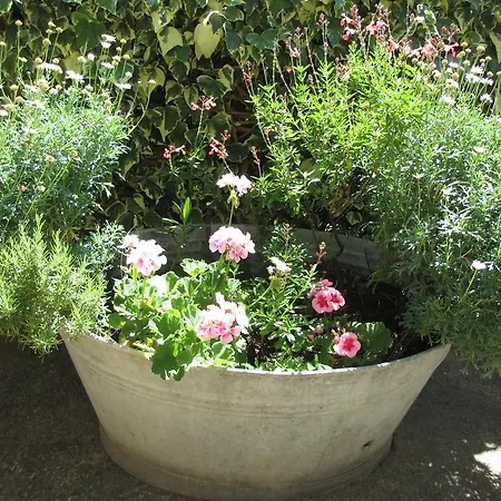 Apartament Zora